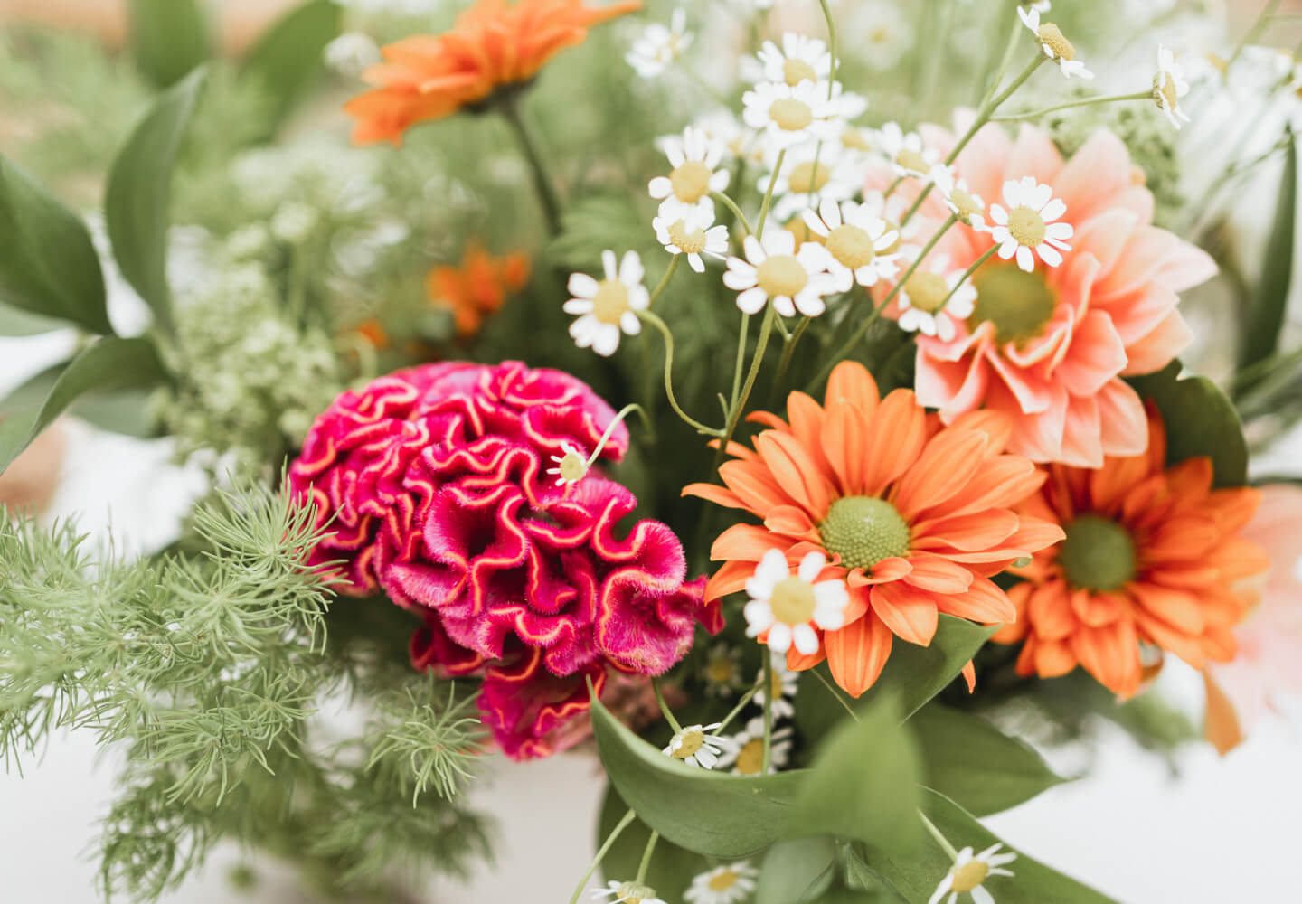 El casament de l’Aina i l’Albert